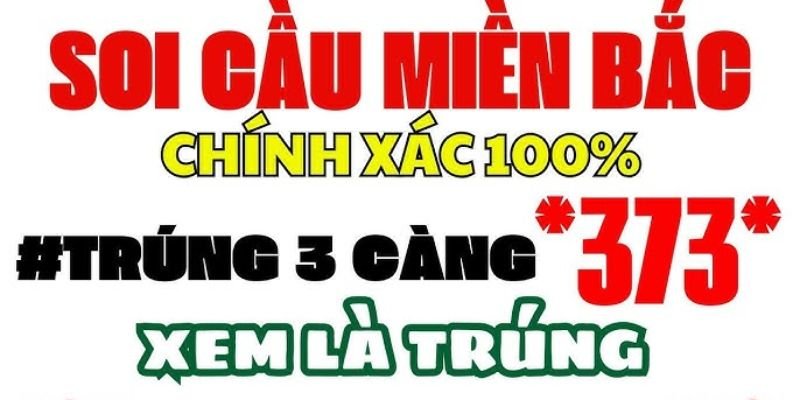 thong-tin-ve-soi-cau-xsmb